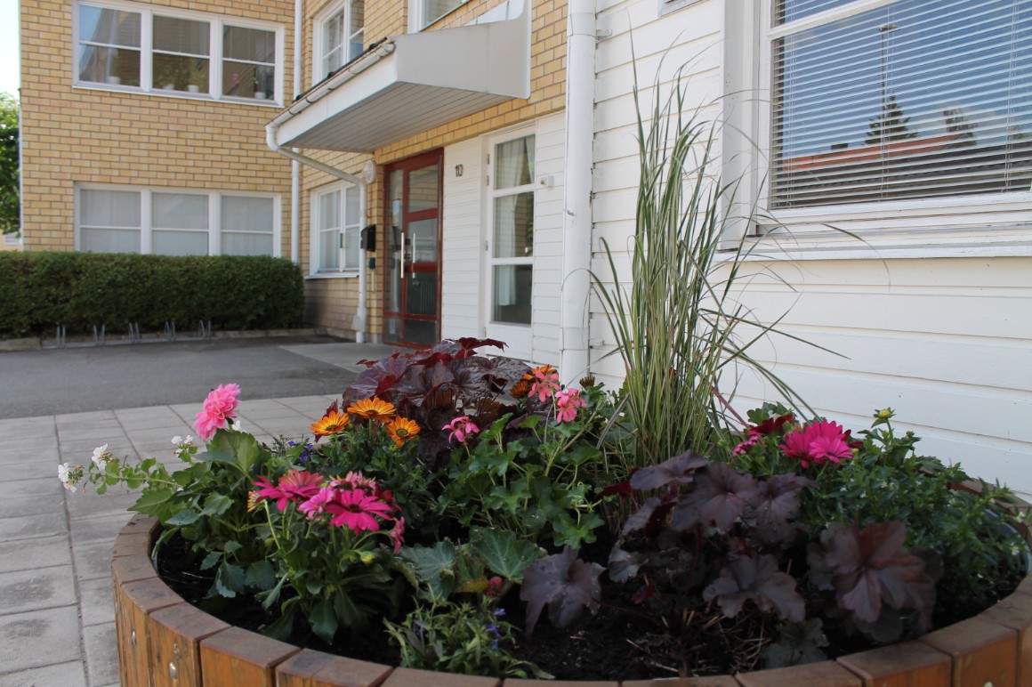 Blomkruka framför ett hus, innehållandes prydnadsgräs, alunrot och olika rosa blommor.