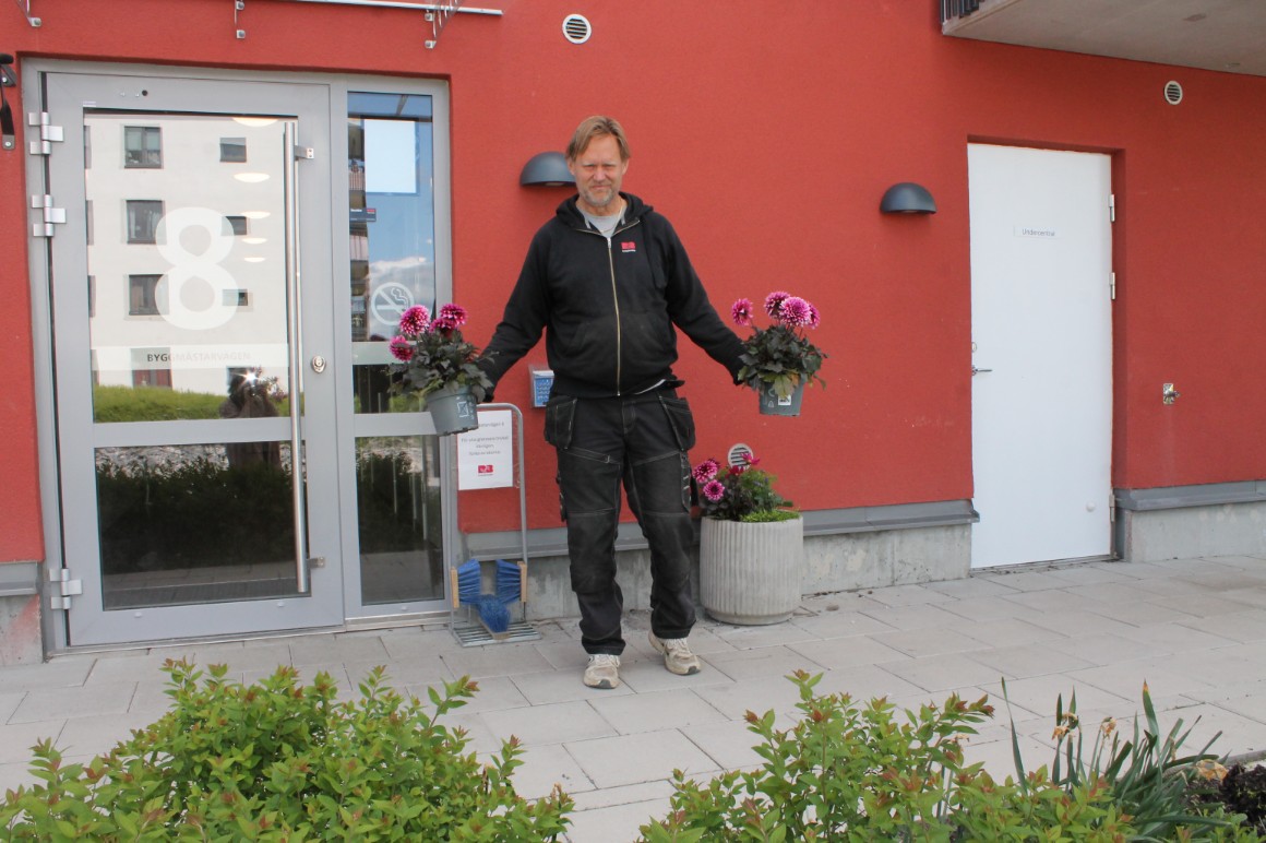 Christer står framför Byggmästarvägen och visar upp två lilafärgade dahlior.
