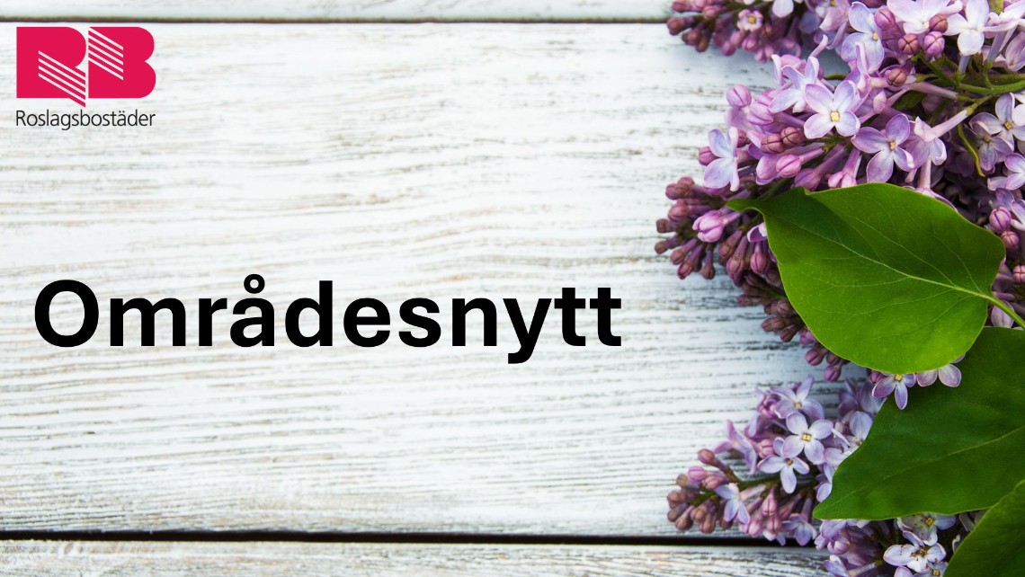 Lila syrener på en brygga med texten Områdesnytt och Roslagsbostäders röda logga.